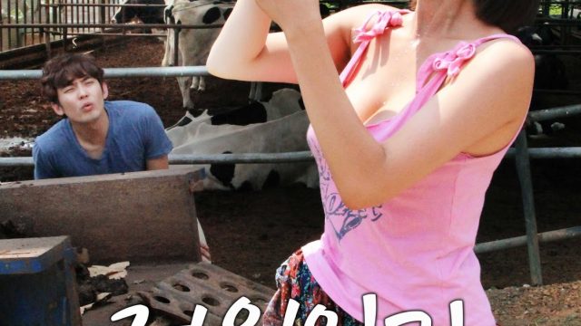 Power Diary Cow Farms Saedaek (2016)